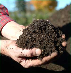 Compost
