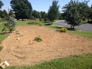 GreenvilleFallGarden