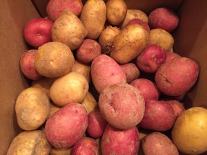potatoes